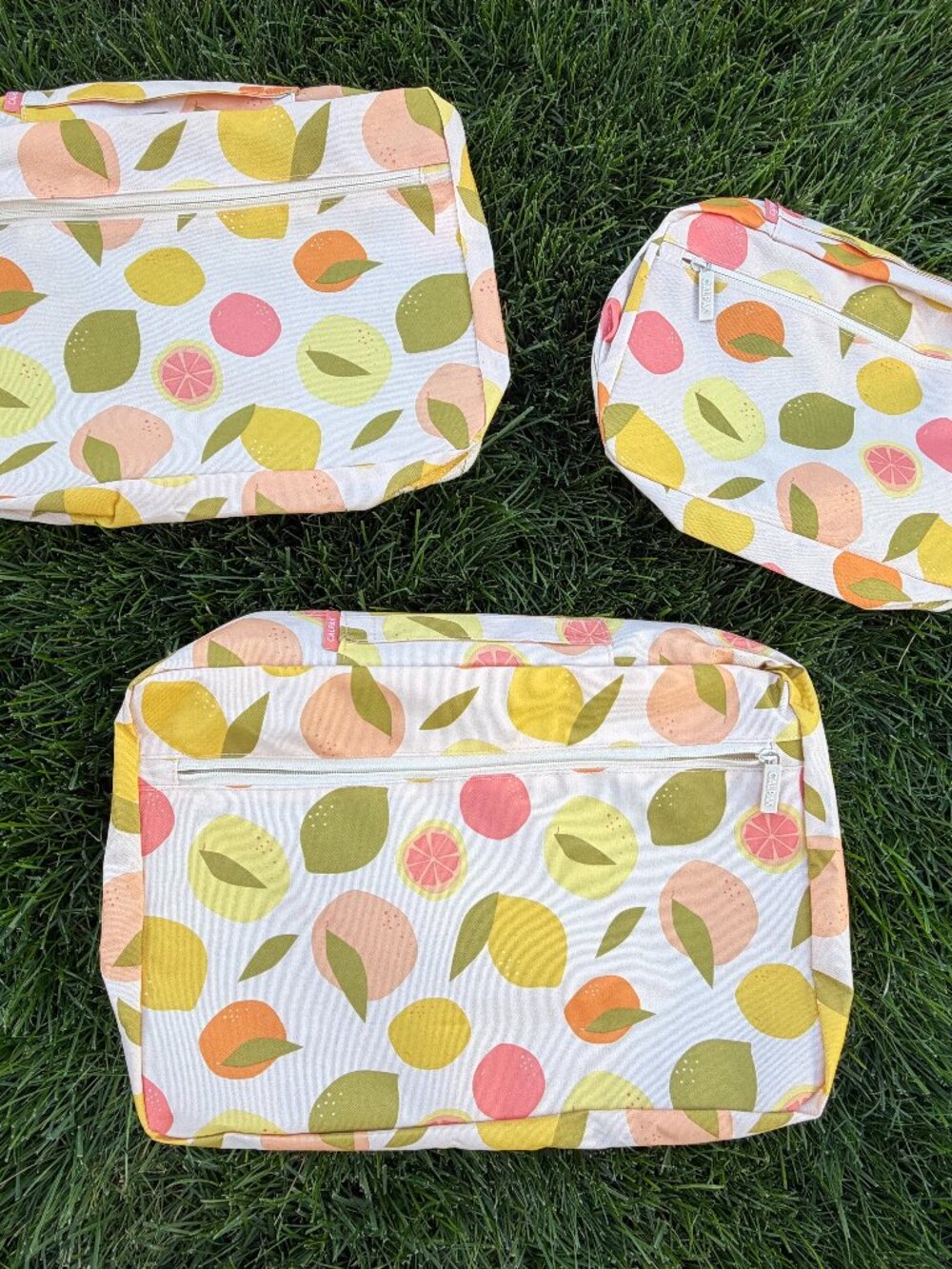 NEW! CALPAK Packing Cube Set